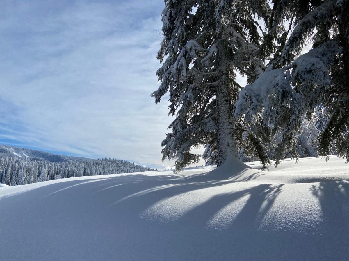 Appartamento Plénouze Autrans-Meaudre-en-Vercors Esterno foto
