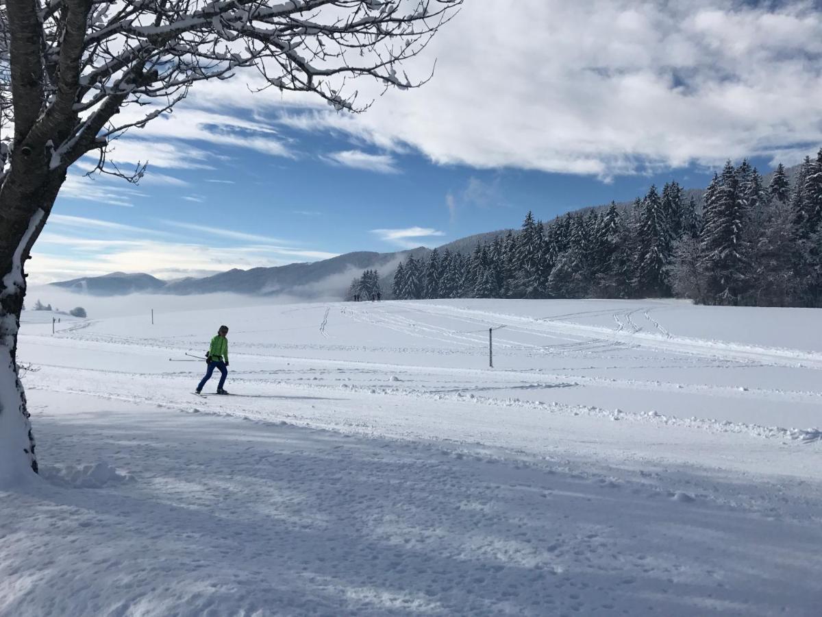 Appartamento Plénouze Autrans-Meaudre-en-Vercors Esterno foto